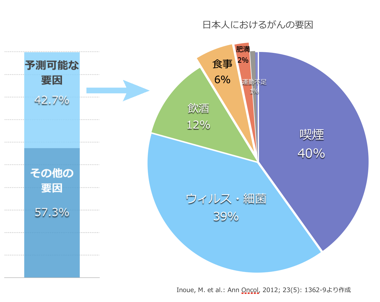 がんの原因 食事の影響は少ないかも知れない 安中千絵の食ブログ