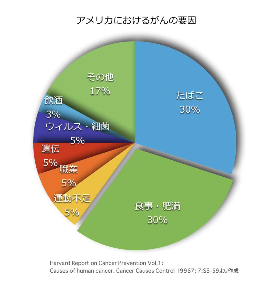 がんの原因 食事の影響は少ないかも知れない 安中千絵の食ブログ